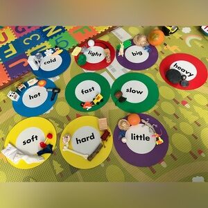 Colorful Educational Sorting Circles